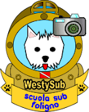 westysub