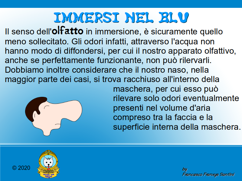 Diapositiva 1