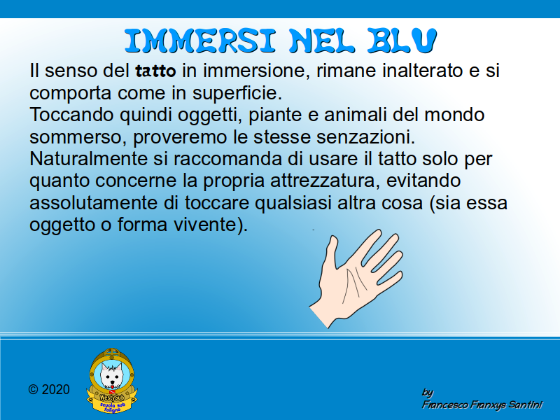 Diapositiva 1