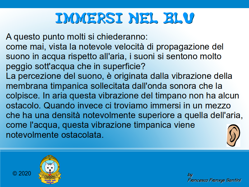 Diapositiva 1