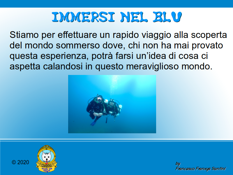 Diapositiva 1