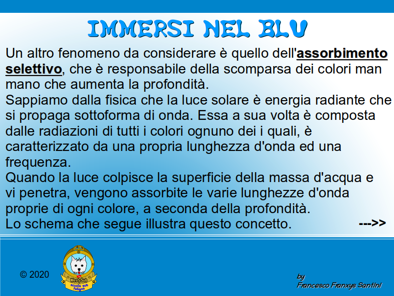 Diapositiva 1