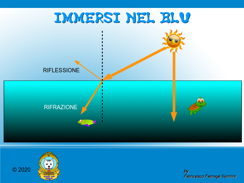 Diapositiva 1