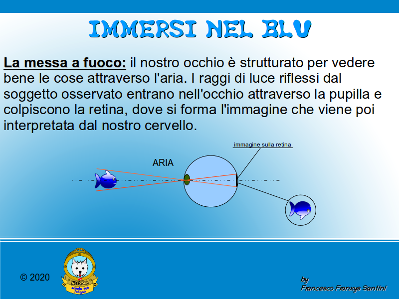 Diapositiva 1