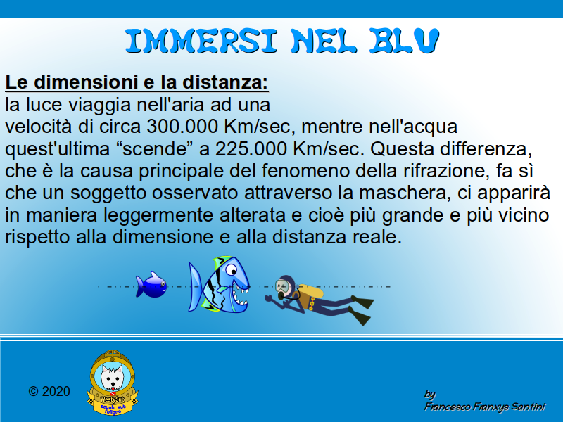 Diapositiva 1