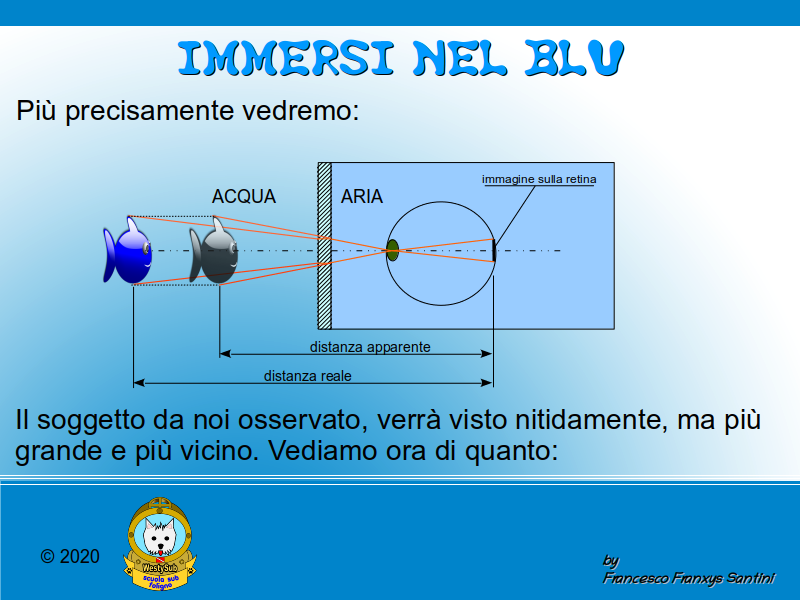Diapositiva 1