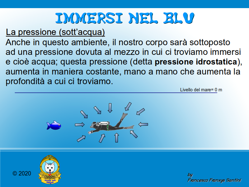 Diapositiva 1