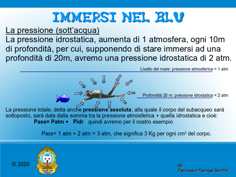 Diapositiva 1