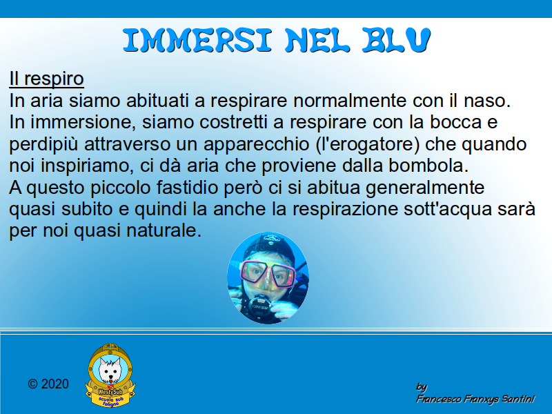 Diapositiva 1