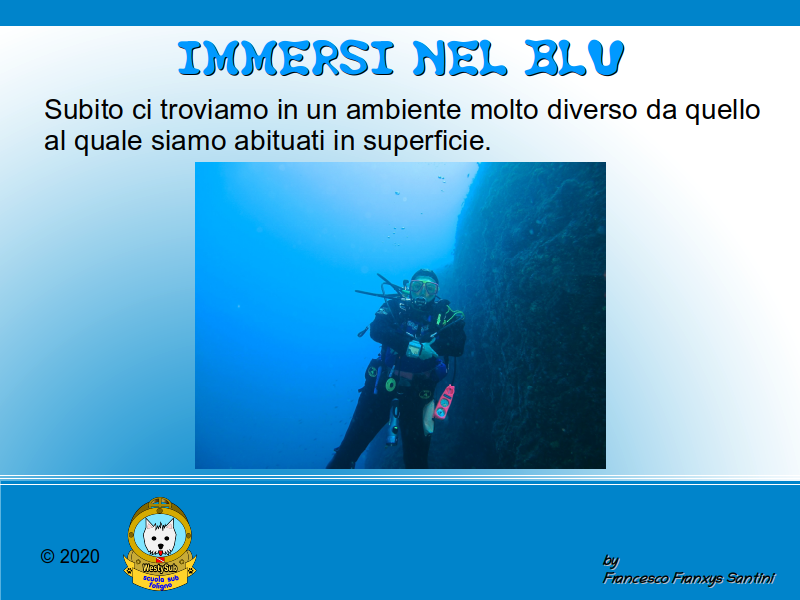 Diapositiva 1