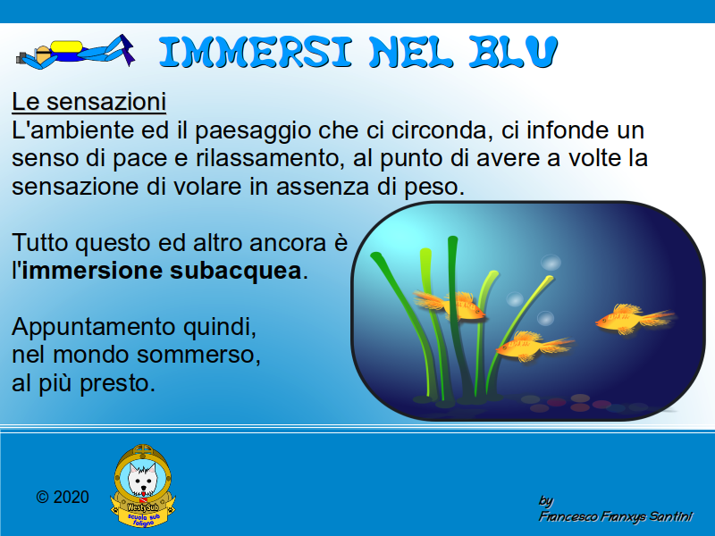 Diapositiva 1