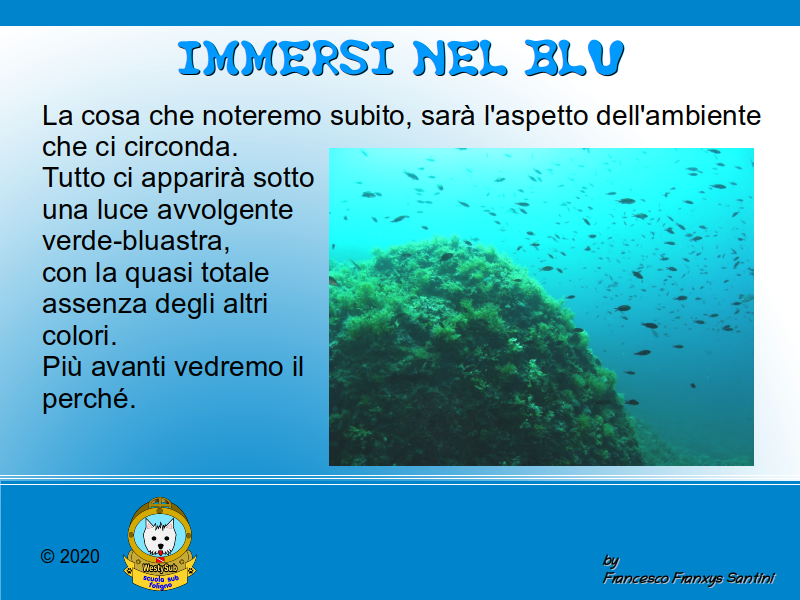 Diapositiva 1